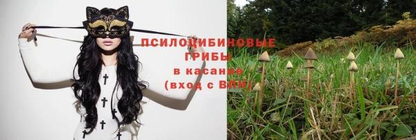 apvp Алексеевка